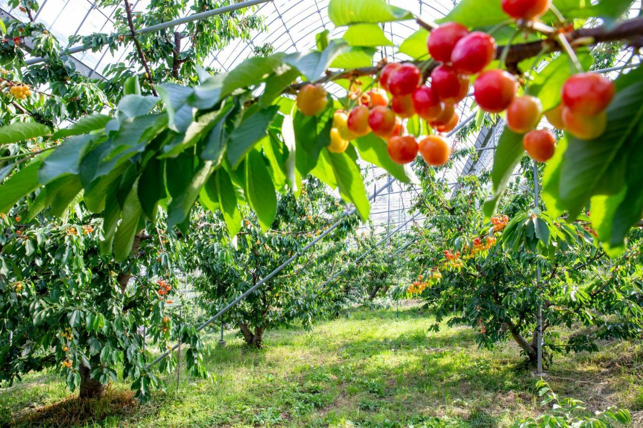 Fruit Park Fujiya Hotel Yamanashi  Buitenkant foto